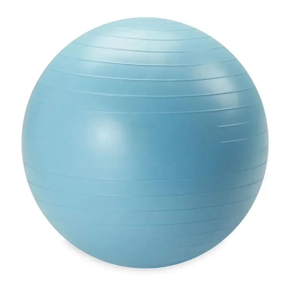 Weighted Fitness Ball With Pump For Core Stability And Balance