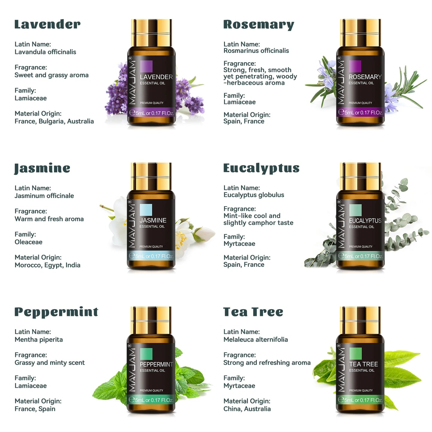 MAYJAM 35 Essential Oils Kit Gift Box Lavender Jasmine Vanilla