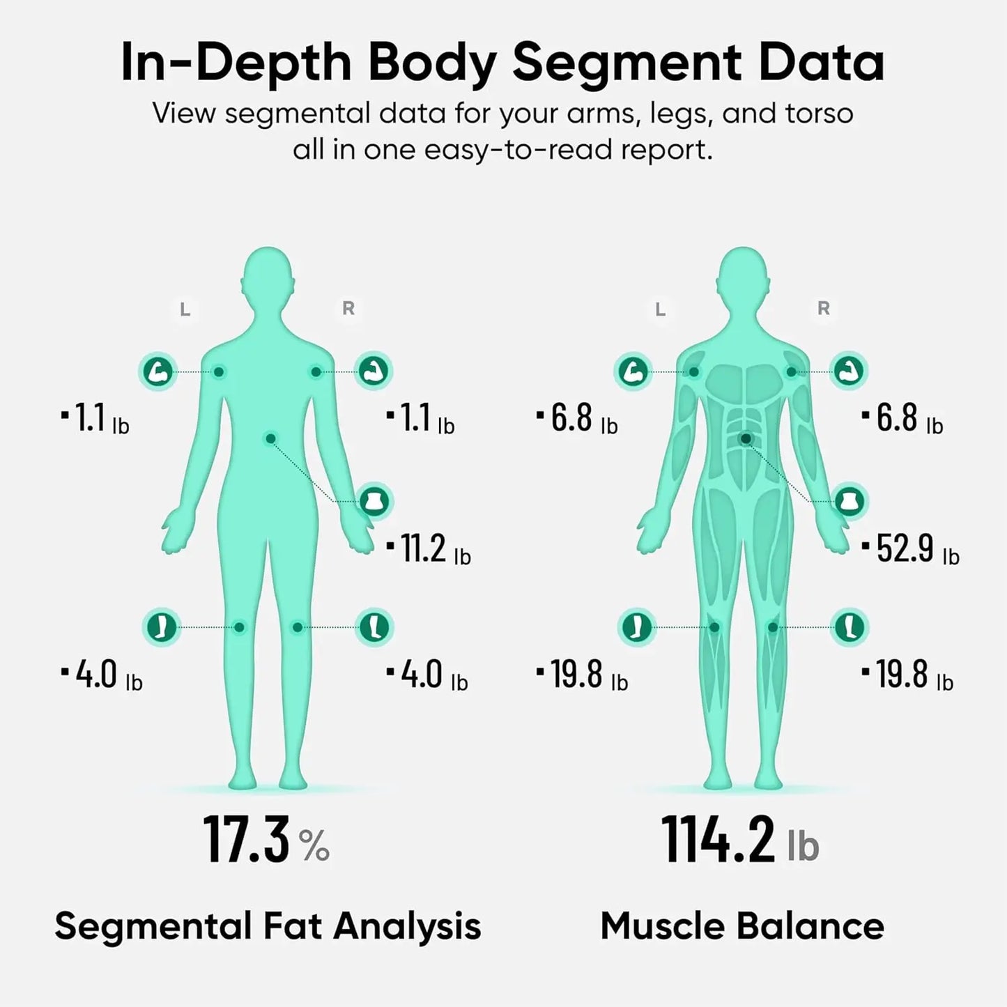 Wyze Smart Scale Ultra BodyScan With Handle Wi Fi Bluetooth Body Composition