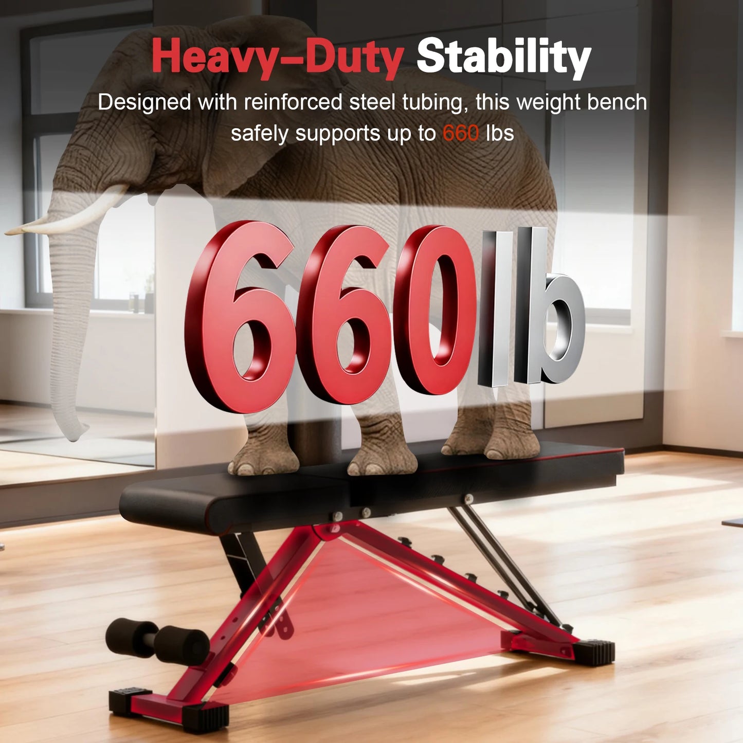 Multifunctional Adjustable Dumbbell Bench Foldable 660 Lbs Capacity for Home Gym